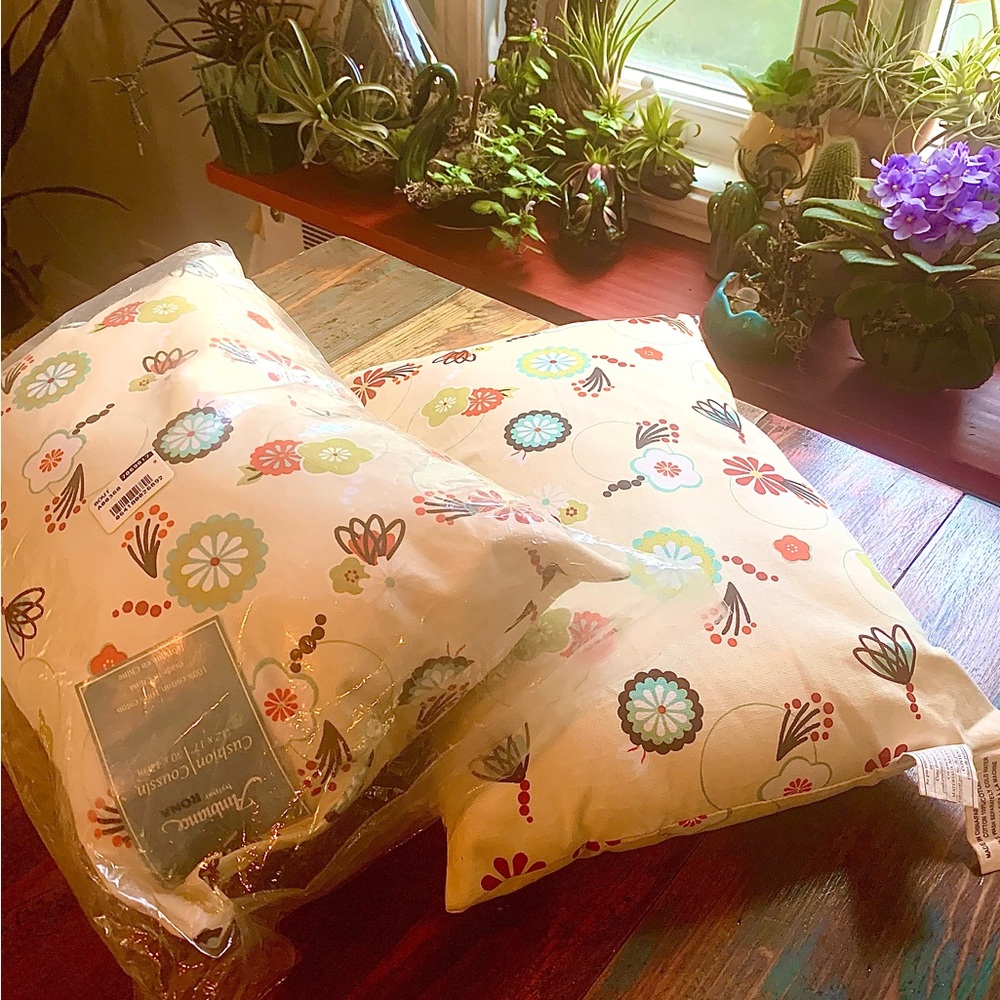 Two Cute Cushions